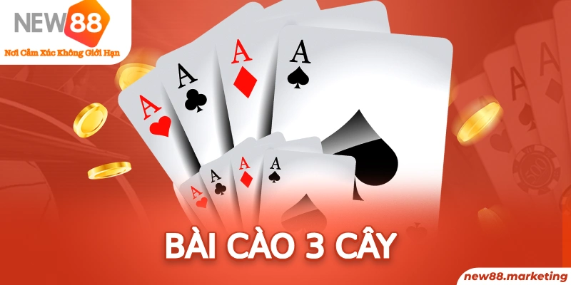 nohu28 long bảo trong baccarat là gì