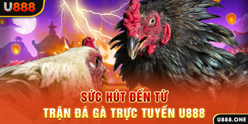nohu28 đá gà trực tiếp c1