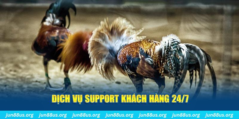 nohu28 ÁT CHỦ BÀI GIÀNH LẤY ZHUANG NIUNIU ( XEM 4 LÁ )