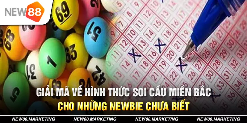 nohu28 xổ số tây ninh