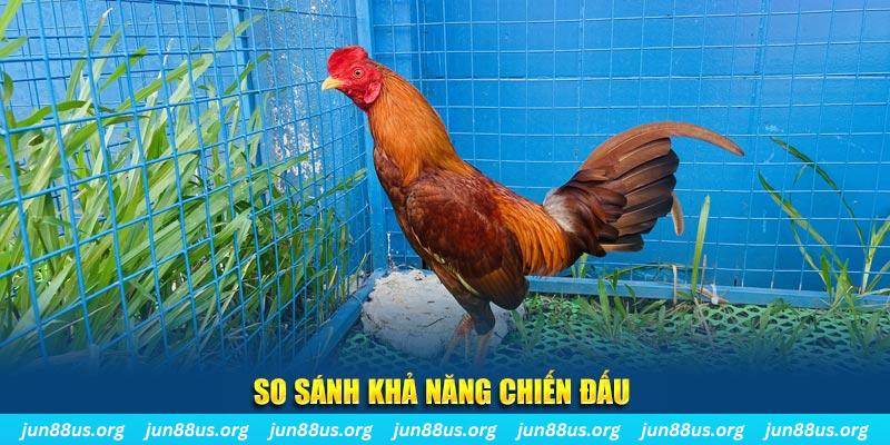 nohu28 CQ9 Điện Tử