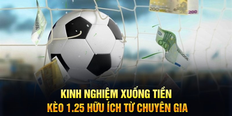 nohu28 TCG Xổ Số