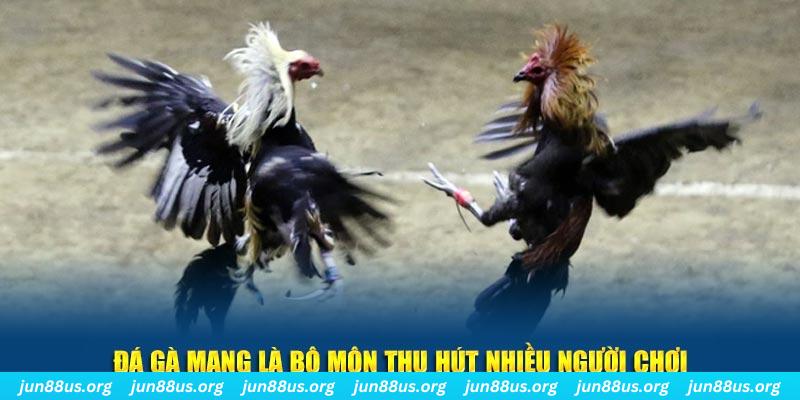 nohu28 bắn cá au88
