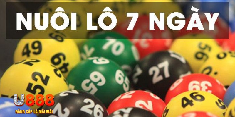 nohu28 what are slot machines