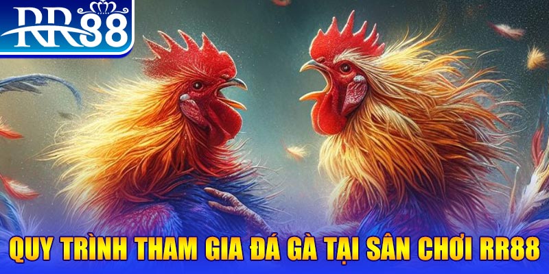 nohu28 đá gà cam 67