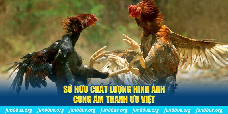 nohu28 PP Điện Tử