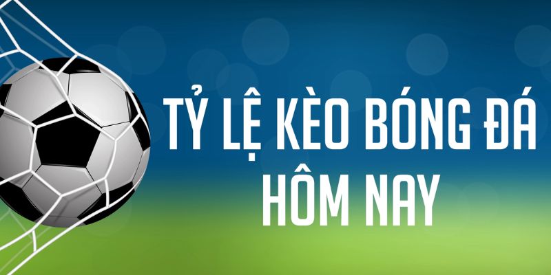 nohu28 gà chọi c1 mới nhất