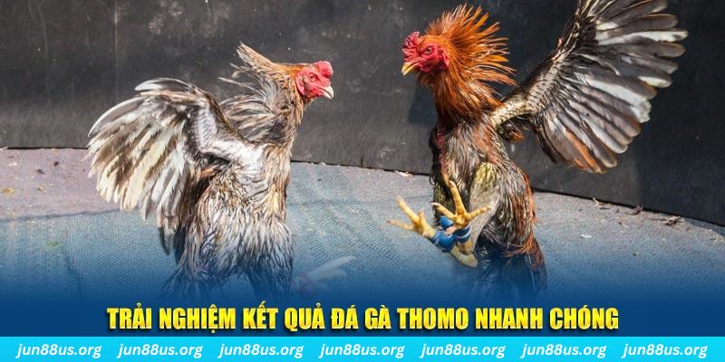 nohu28 tai game danh bai bigkool ve may tinh
