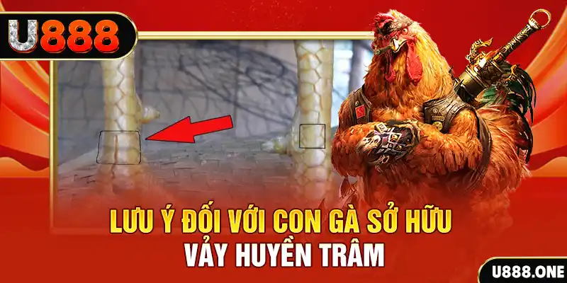 nohu28 kết quả xổ số miền nam hôm nay