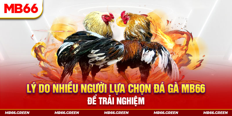 nohu28 xổ số miền bắc thứ bảy hàng tuần