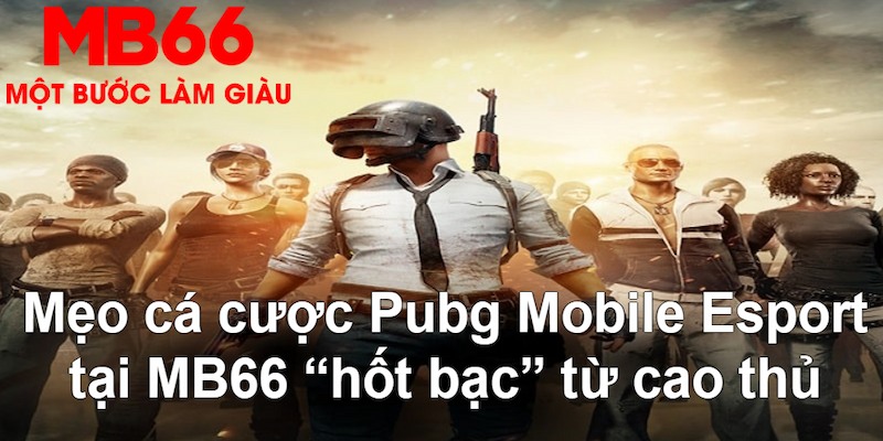 nohu28 VA Bắn cá
