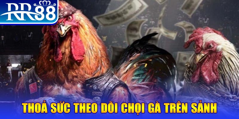 nohu28 trực tiếp đá gà c1