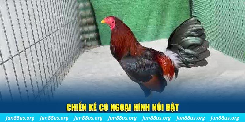 nohu28 game nổ hũ là gì