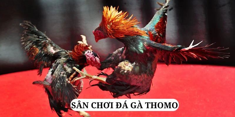 nohu28 trực tiếp xổ số miền bắc