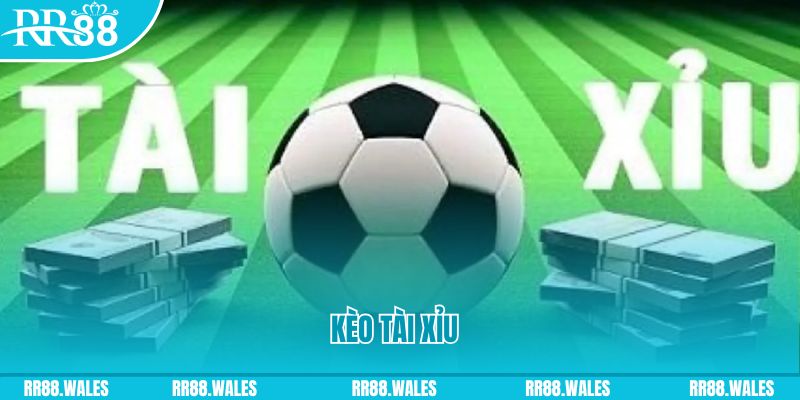 nohu28 casino gồm những gì